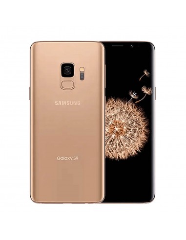 Samsung Galaxy S9 64Go Or Reconditionné Débloqué les muscles