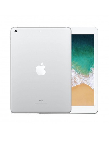 Apple iPad 5 128Go GPS + Cellulaire Argent - Excellent Jusqu'à 80% De Réduction